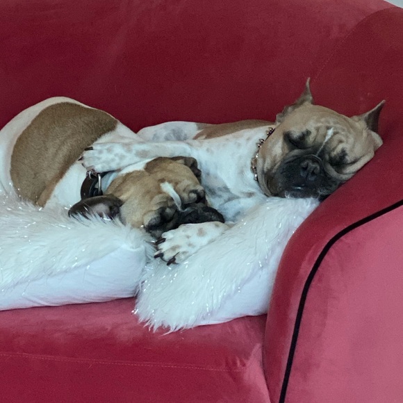 Meet your Posher, Tracy - Picture 1 of 1